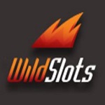 wild-slots-logo